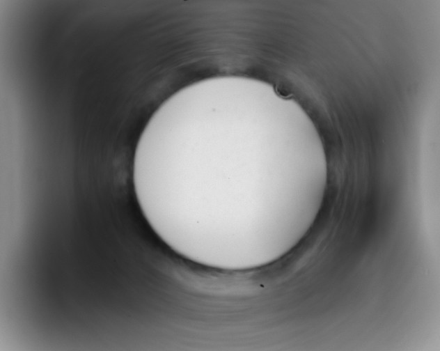 X0000091660032200709201152