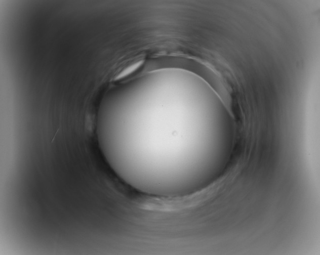 X0000091660033200709201152