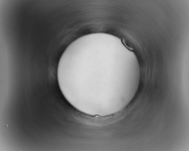 X0000091660035200709201152