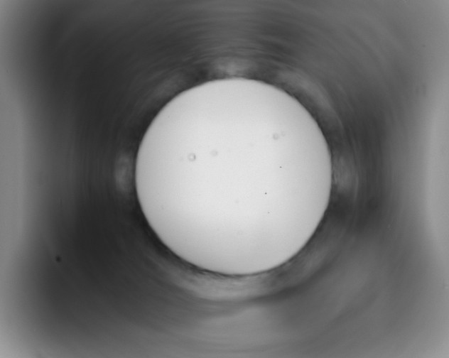 X0000091660036200709201152