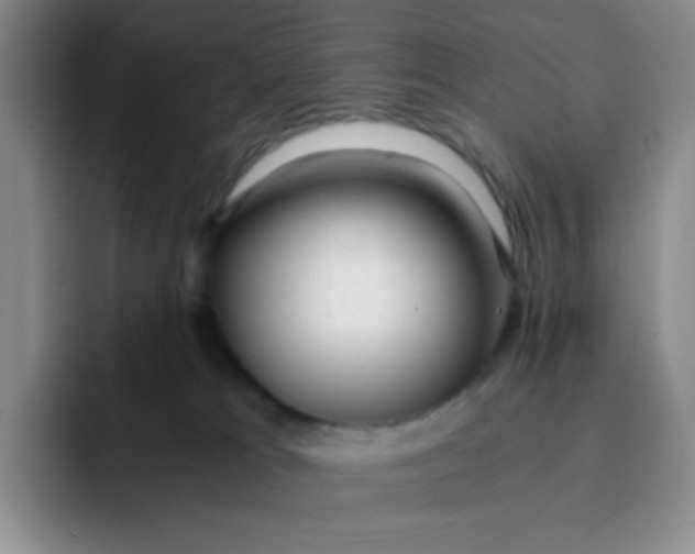 X0000091660037200709201152