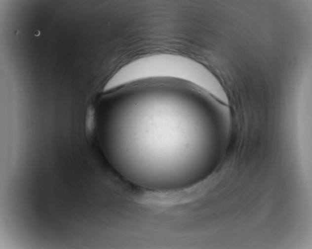 X0000091660041200709201152