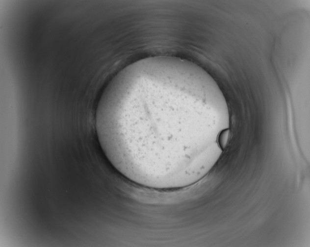 X0000091660048200709201152