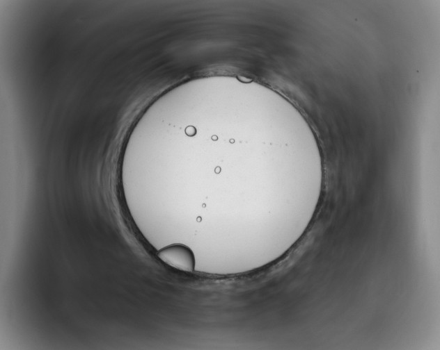 X0000091660049200709201152