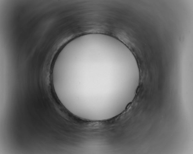 X0000091660050200709201152