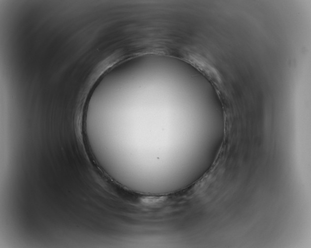 X0000091660051200709201152