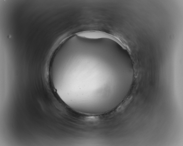 X0000091660053200709201152
