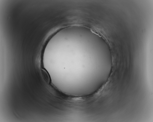 X0000091660054200709201152