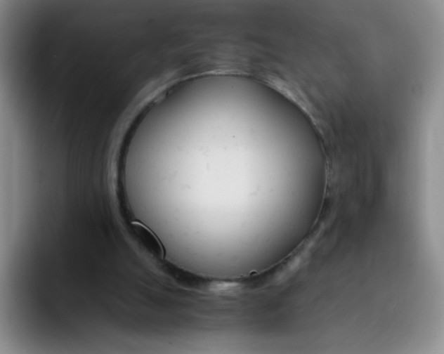 X0000091660055200709201152