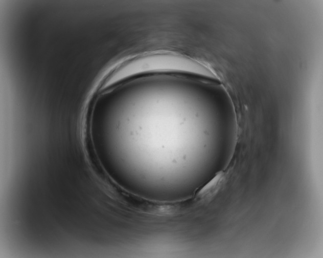 X0000091660056200709201152
