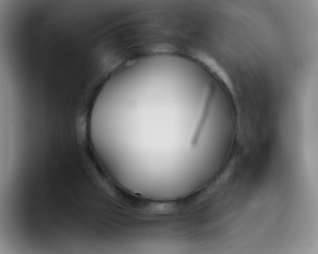 X0000091660057200709201152