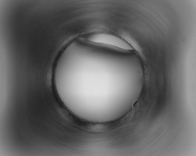 X0000091660058200709201152