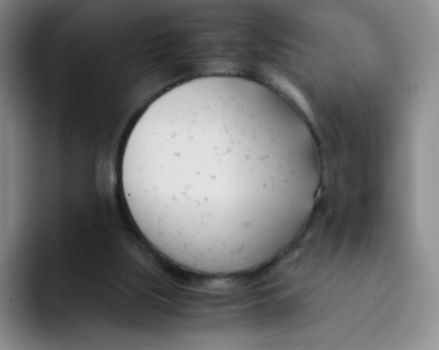 X0000091660059200709201152