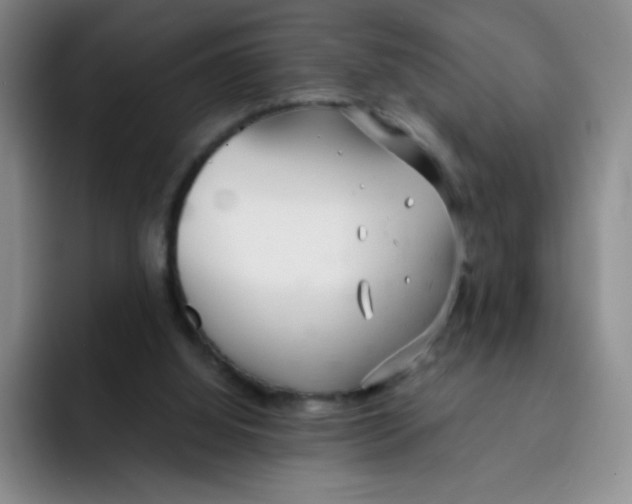 X0000091660060200709201152