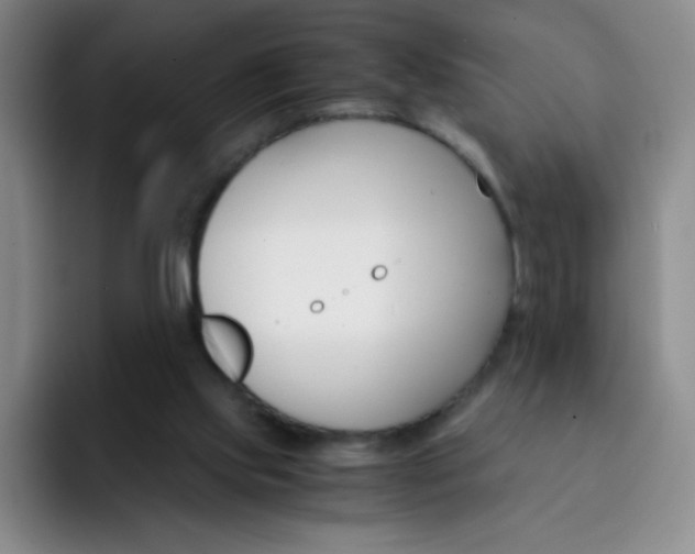 X0000091660061200709201152