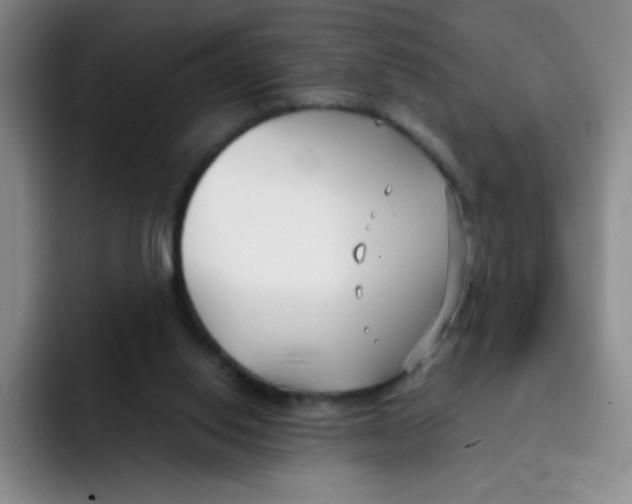 X0000091660062200709201152