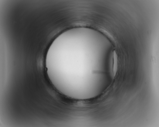 X0000091660064200709201152