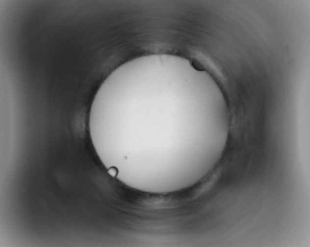 X0000091660065200709201152