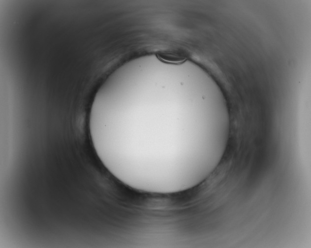 X0000091660066200709201152