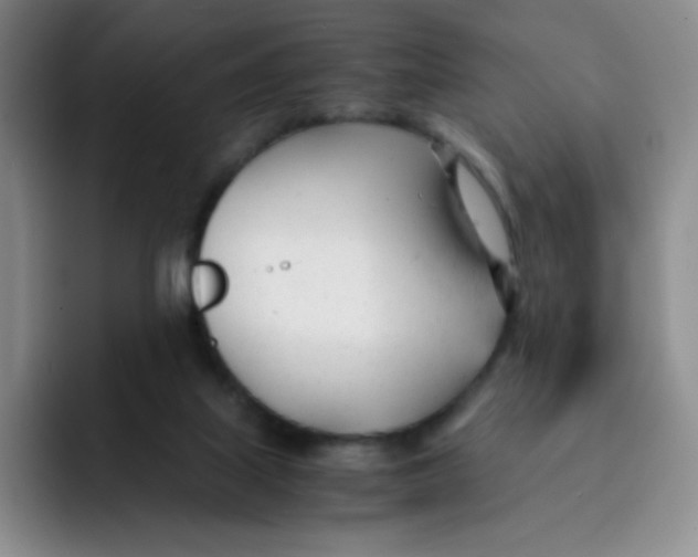 X0000091660067200709201152