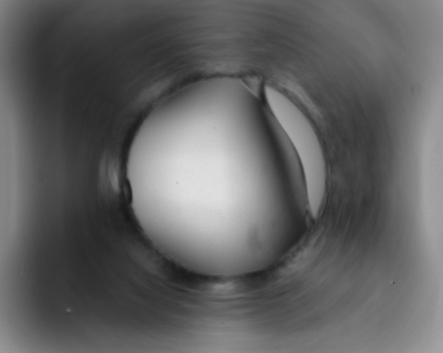 X0000091660068200709201152