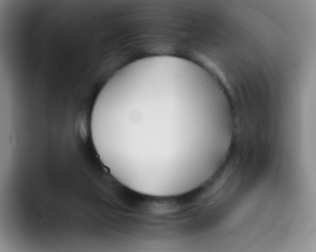 X0000091660069200709201152
