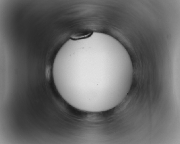 X0000091660070200709201152