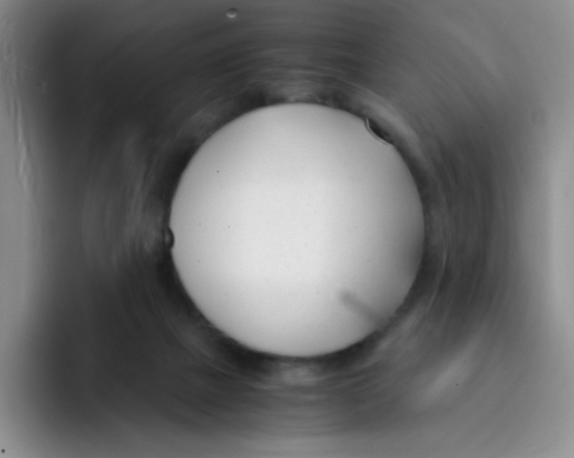 X0000091660073200709201152
