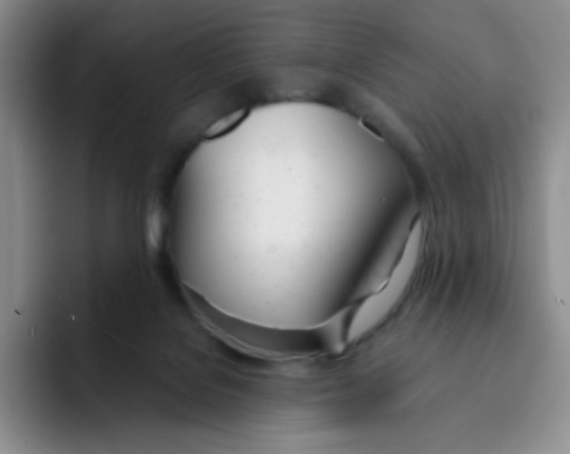 X0000091660076200709201152