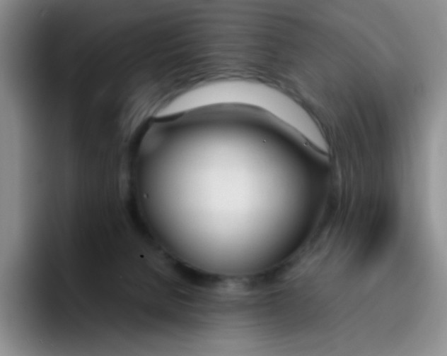 X0000091660080200709201152
