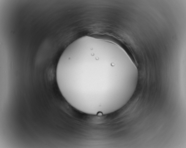 X0000091660081200709201152