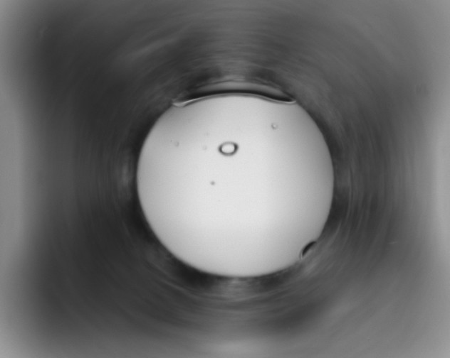 X0000091660082200709201152