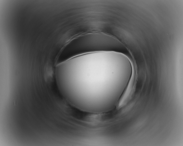 X0000091660084200709201152
