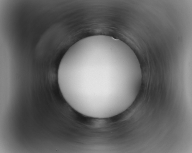 X0000091660085200709201152