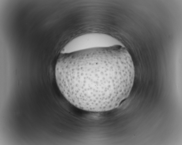X0000091660086200709201152