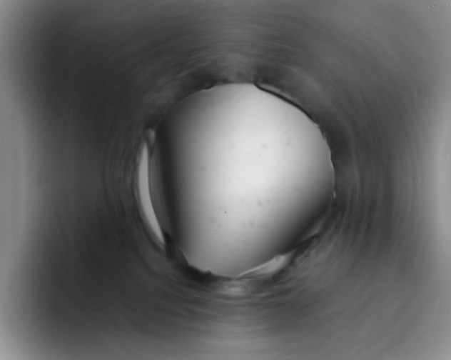 X0000091660088200709201152