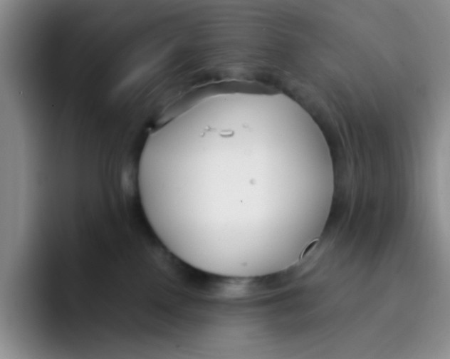 X0000091660090200709201152