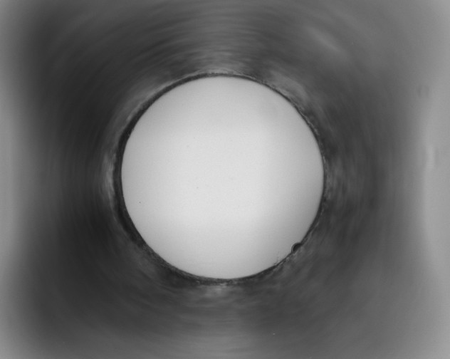 X0000091660098200709201152