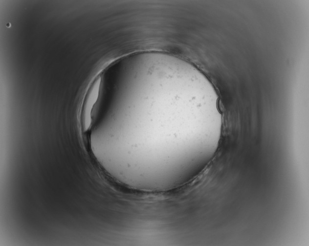 X0000091660099200709201151
