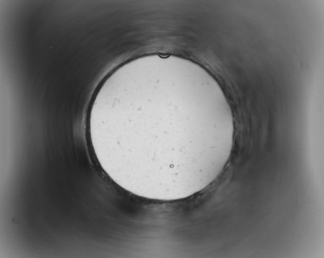 X0000091660100200709201151