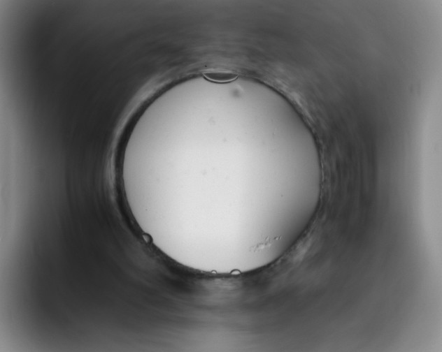 X0000091660102200709201151