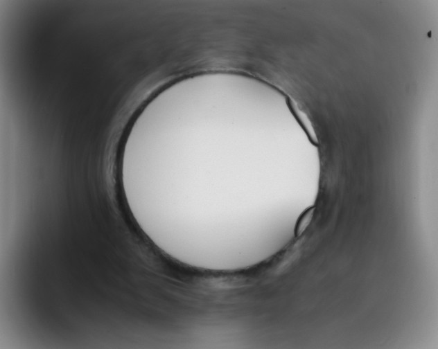 X0000091660103200709201151