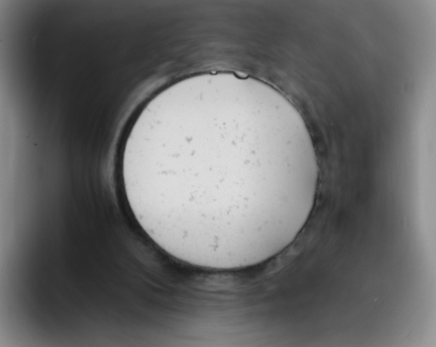 X0000091660104200709201151