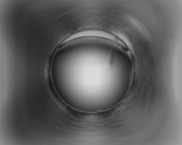 X0000091660105200709201151