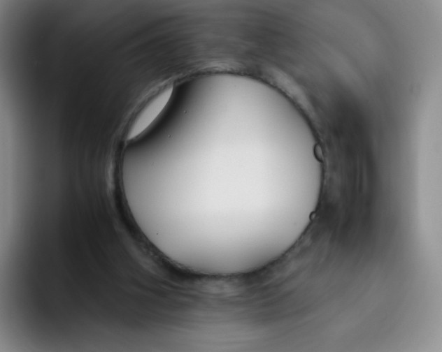 X0000091660106200709201151
