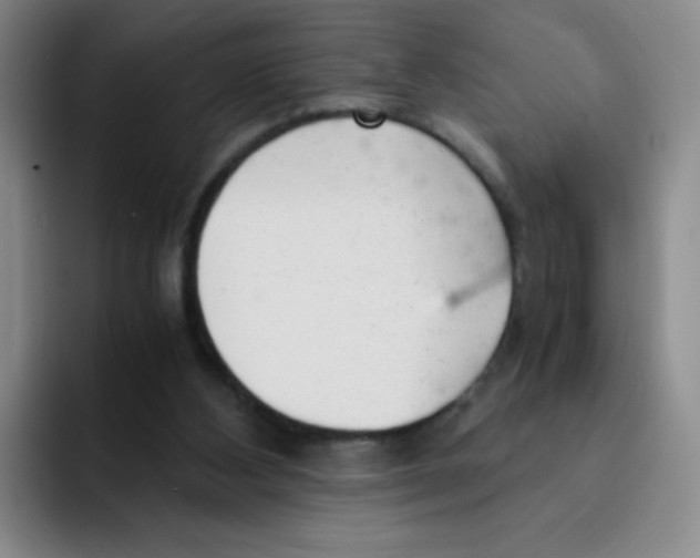 X0000091660108200709201151