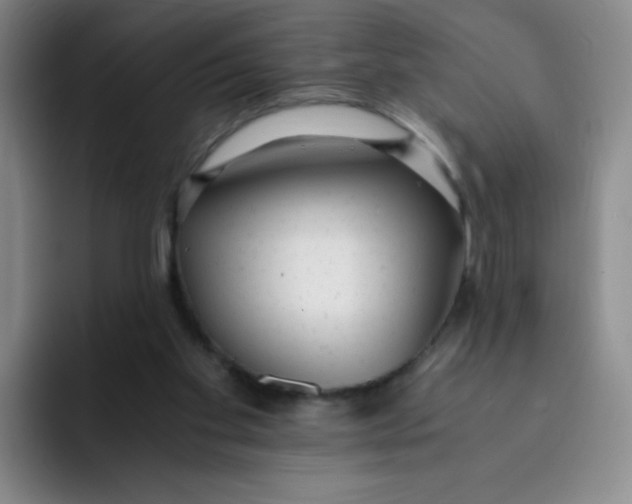 X0000091660109200709201151