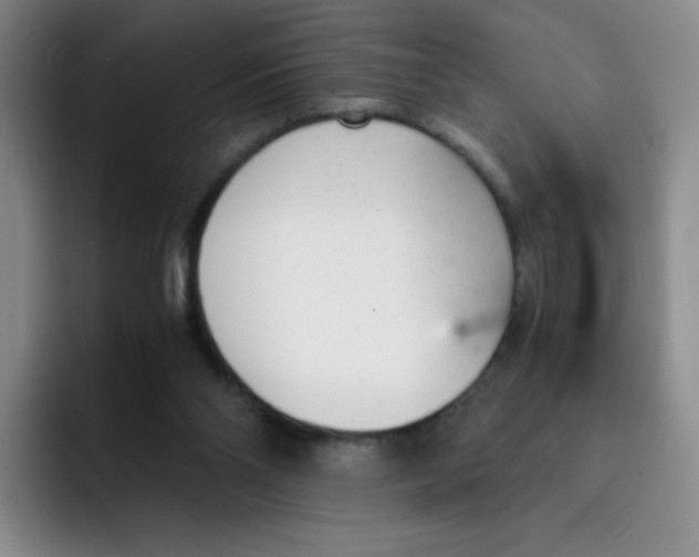 X0000091660110200709201151