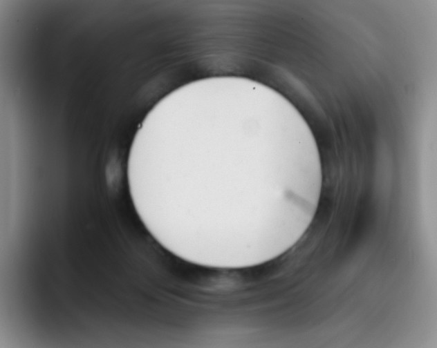 X0000091660124200709201151