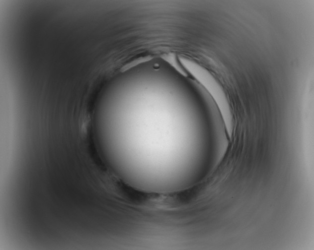 X0000091660125200709201151